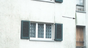 alge na fasadi 10