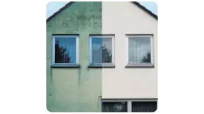 Odstranjevanje alg in plesni