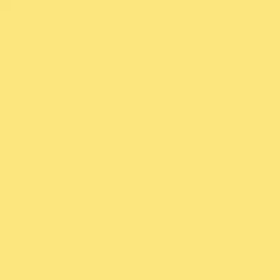 1106C 1106C
