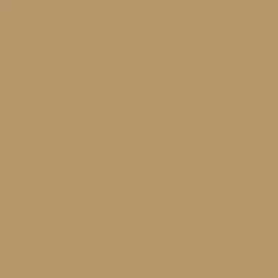L096 L096
